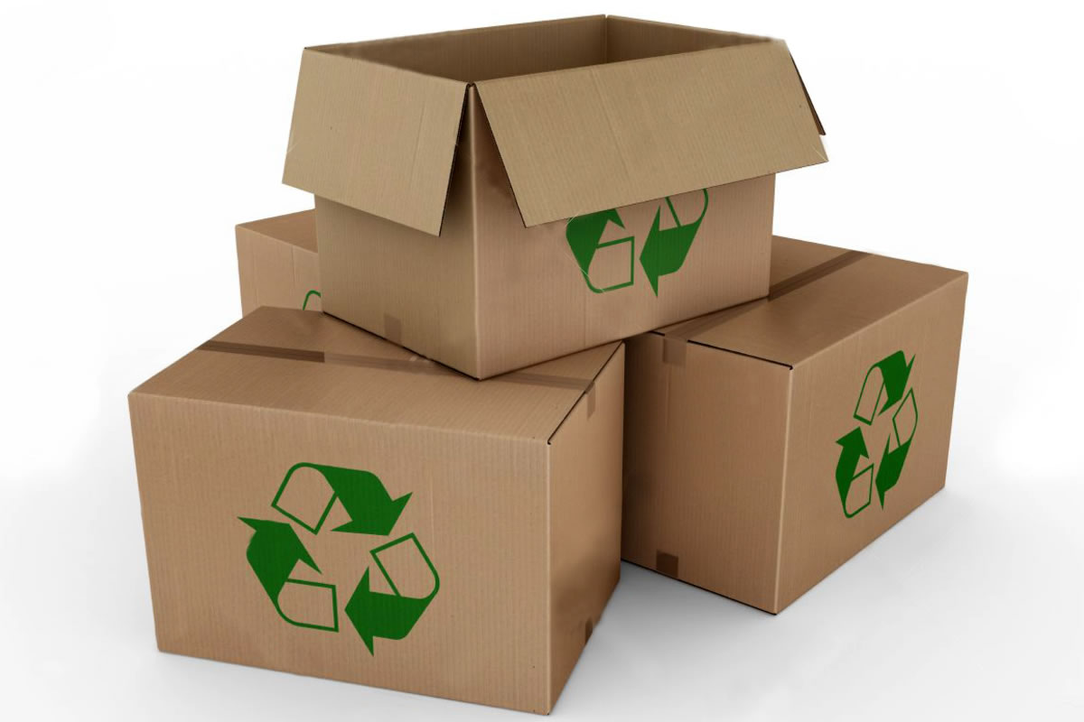 Packaging eco