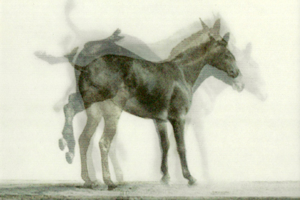 Impresión lenticular